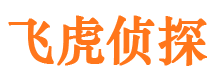 陵川私人侦探